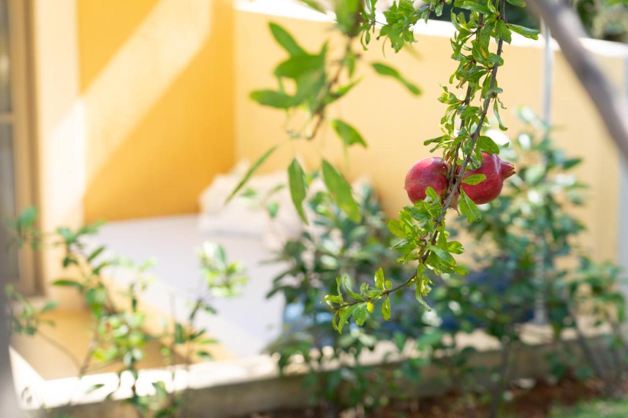 לאסי Marilia Villas Lassi מראה חיצוני תמונה